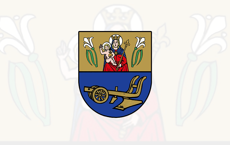 XXVIII Sesja Rady Gminy Wąsewo