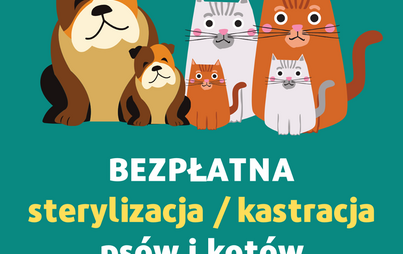Zdjęcie do Bezpłatna sterylizacja, kastracja ps&oacute;w i kot&oacute;w