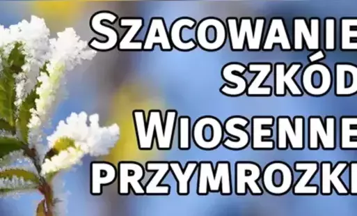 Zdjęcie artykułu z dnia 26-05-2025